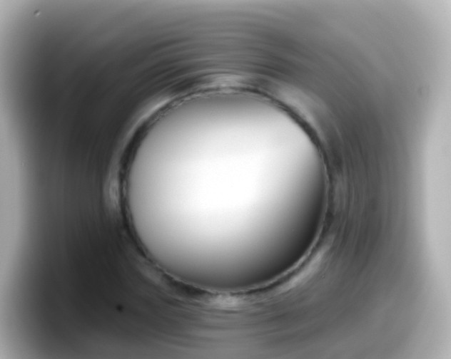X0000099580827200805231549