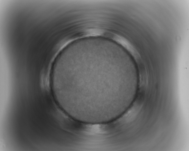 X0000099580828200805231549