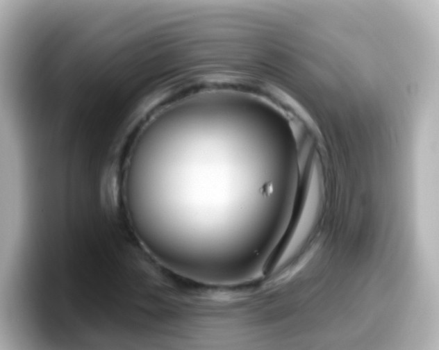 X0000099580829200805231549