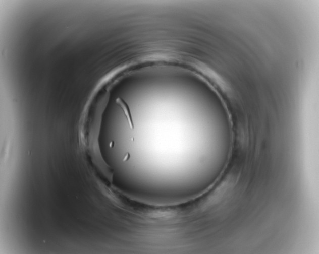 X0000099580830200805231549