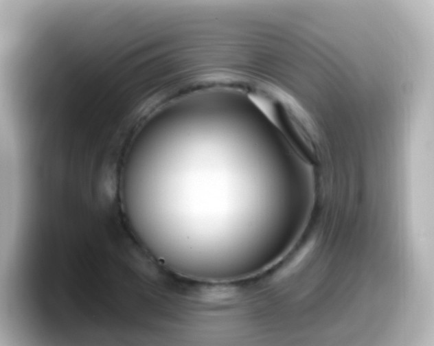 X0000099580833200805231549
