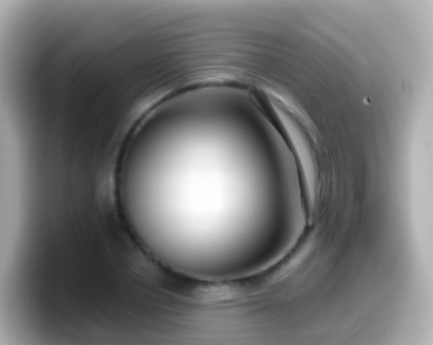 X0000099580834200805231549
