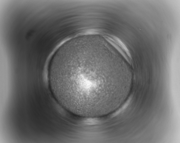 X0000099580835200805231549
