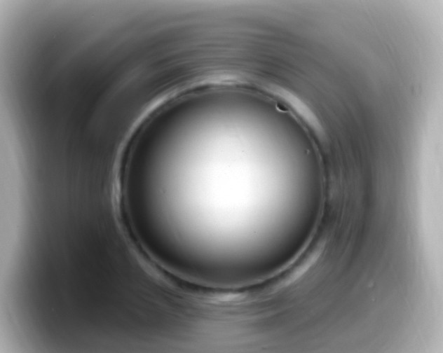 X0000099580837200805231549