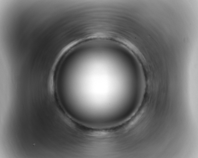 X0000099580838200805231549