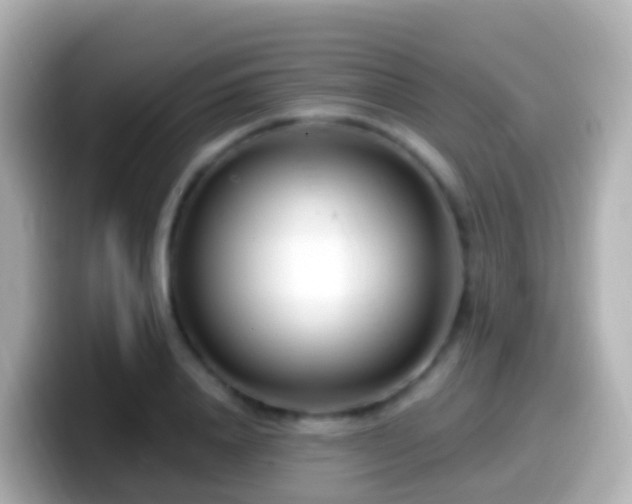 X0000099580840200805231549