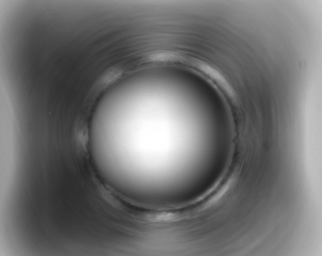 X0000099580841200805231549