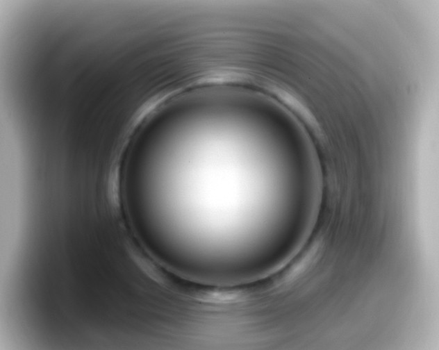 X0000099580842200805231549