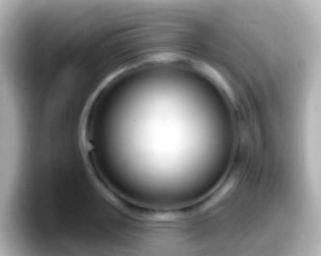 X0000099580843200805231549