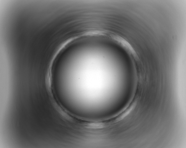 X0000099580844200805231549