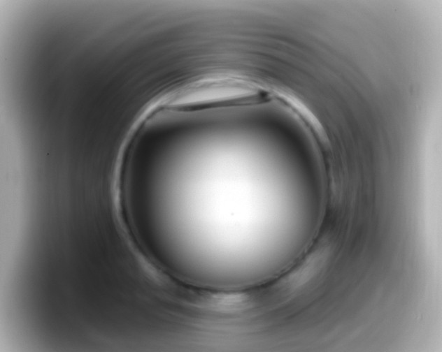 X0000099580845200805231549