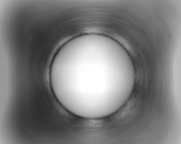 X0000099580848200805231549