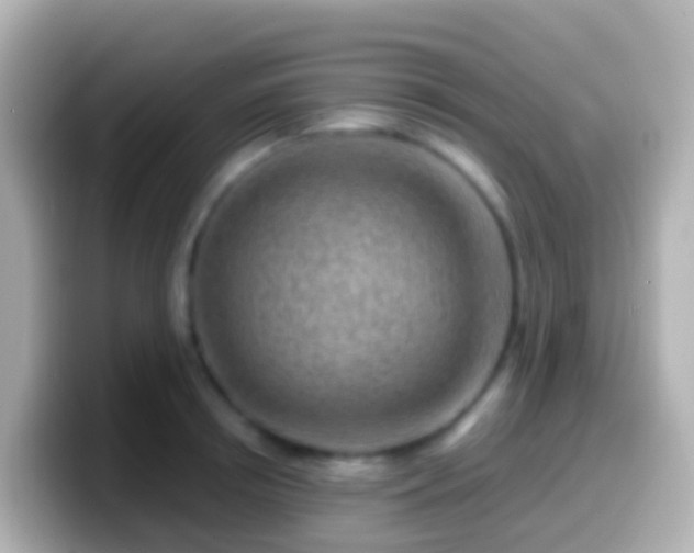 X0000099580850200805231549
