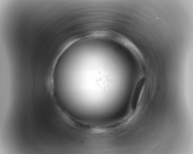 X0000099580852200805231549