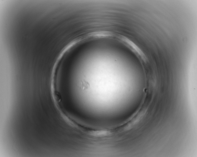 X0000099580853200805231549