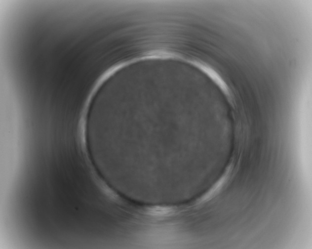 X0000099580854200805231549