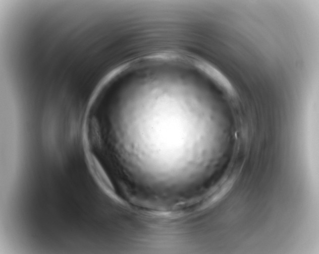 X0000099580855200805231549