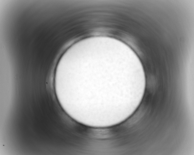 X0000099580856200805231549