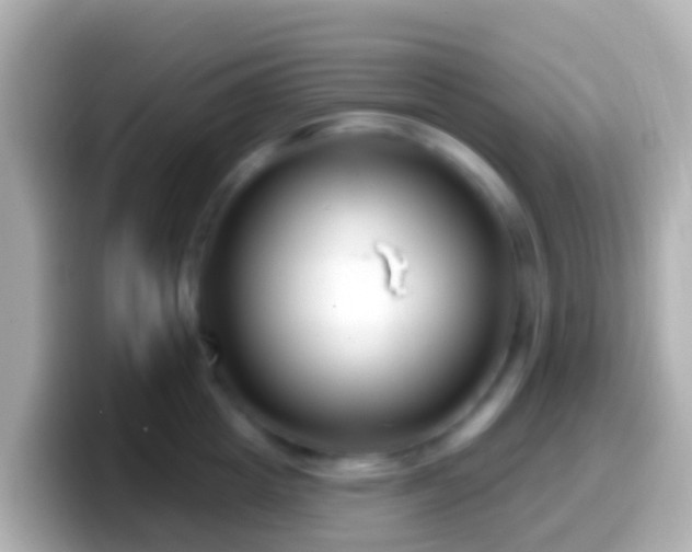 X0000099580857200805231549