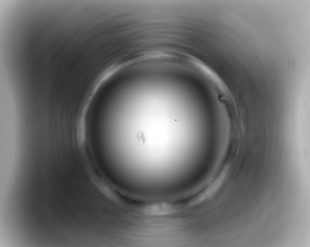 X0000099580858200805231549