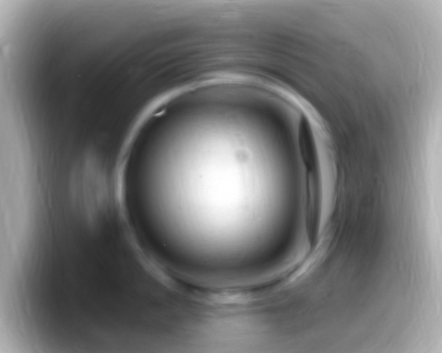 X0000099580862200805231549