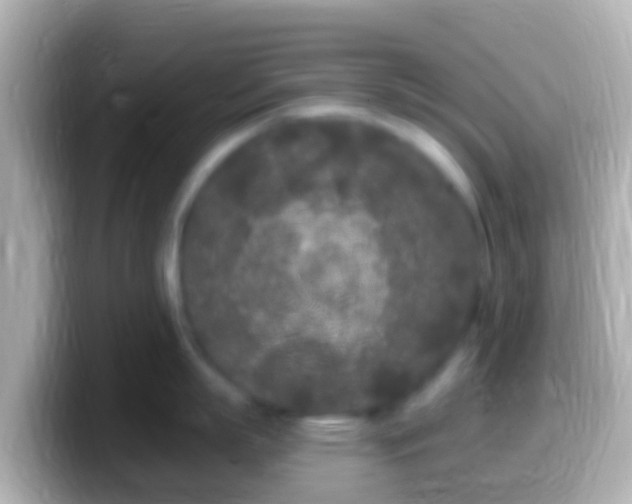 X0000099580863200805231549
