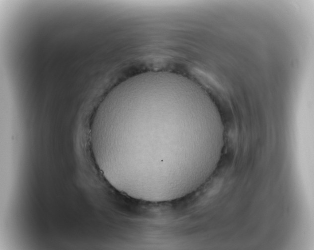 X0000099580865200805231549