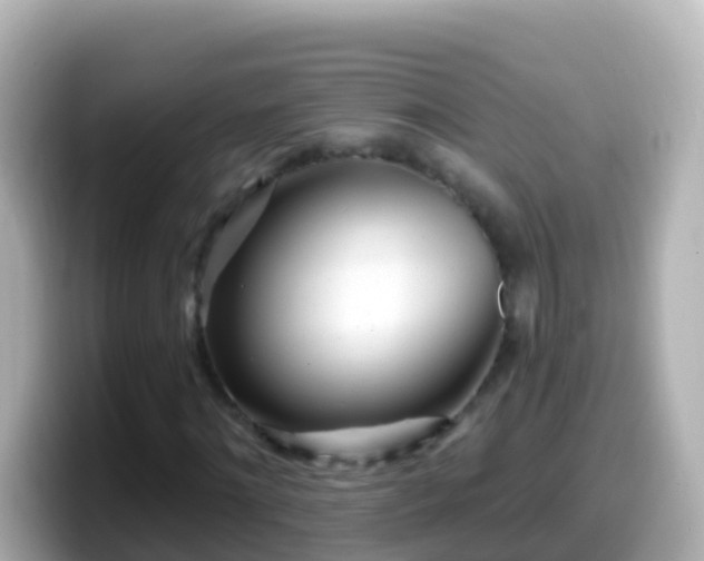 X0000099580868200805231549