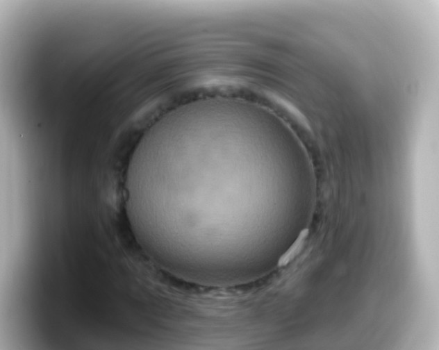 X0000099580869200805231549