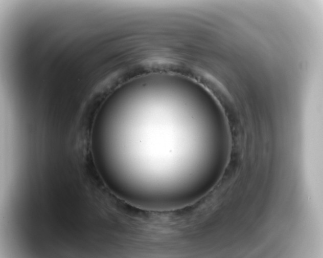 X0000099580870200805231549
