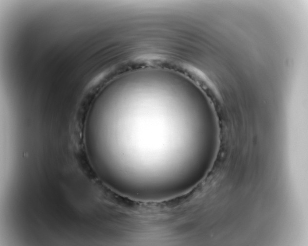 X0000099580871200805231549
