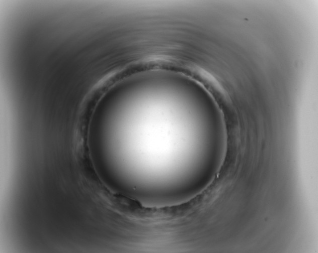 X0000099580872200805231549
