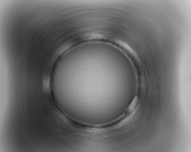 X0000099580873200805231549