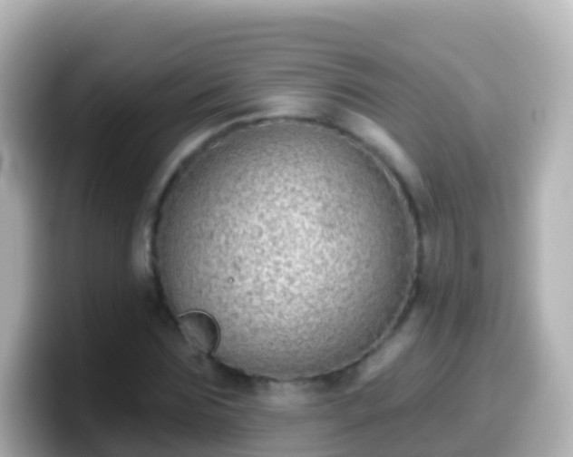 X0000099580875200805231548