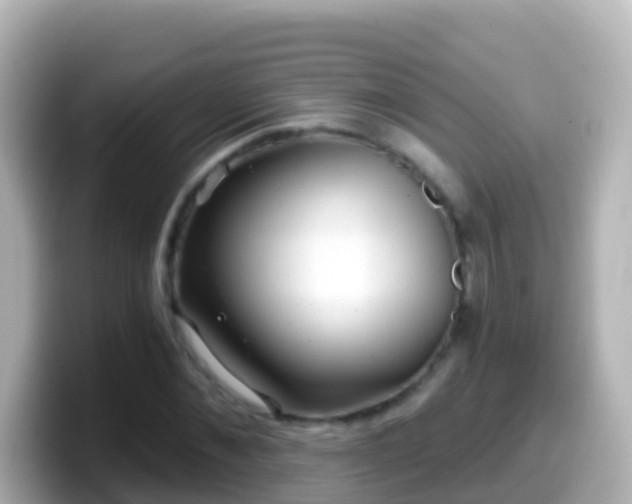 X0000099580876200805231548