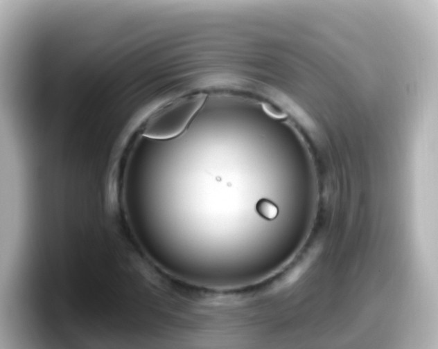 X0000099580877200805231548
