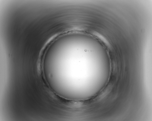 X0000099580878200805231548