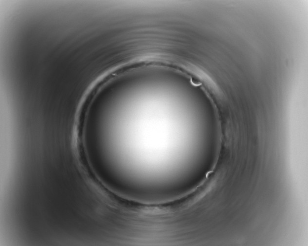 X0000099580880200805231548