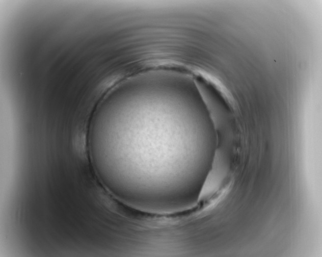 X0000099580881200805231548
