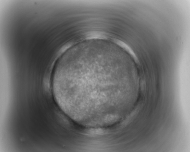 X0000099580882200805231548