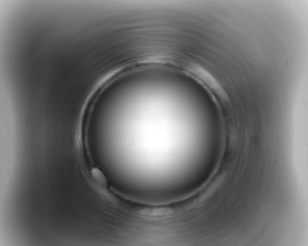 X0000099580884200805231548