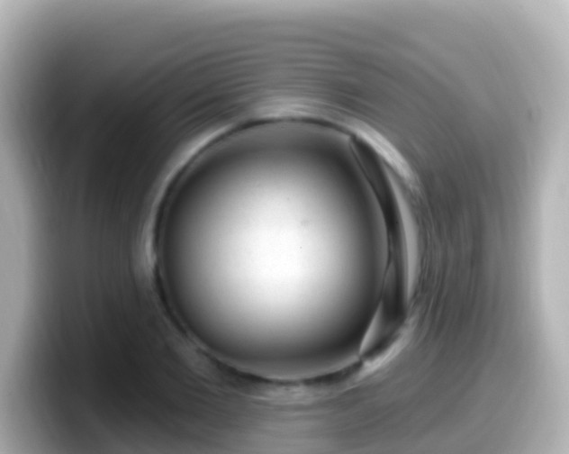 X0000099580885200805231548