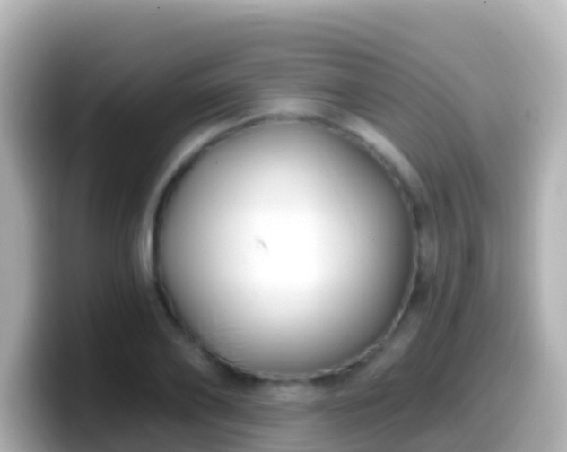 X0000099580886200805231548