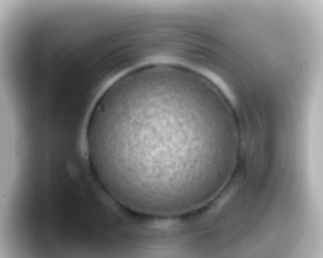 X0000099580887200805231548