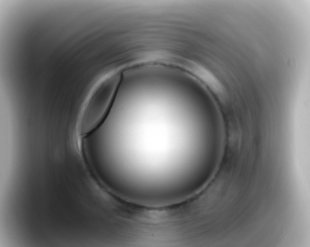 X0000099580888200805231548
