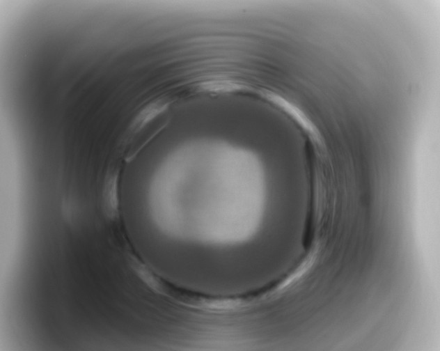 X0000099580889200805231548