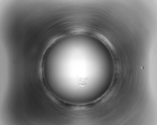 X0000099580890200805231548