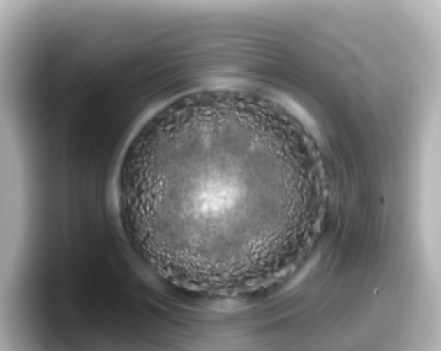 X0000099580891200805231548