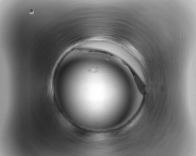 X0000099580892200805231548