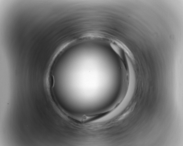 X0000099580893200805231548